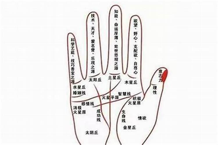 怎么算命看手相 如何看手相算命