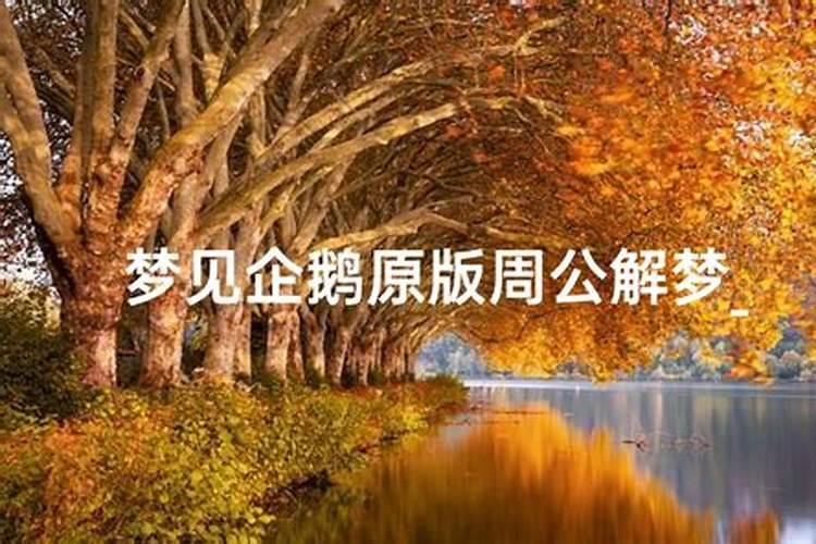 梦见儿子穿的破破烂烂的预兆