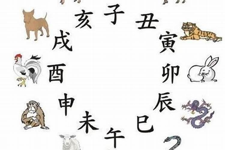 十二时辰属相时间表