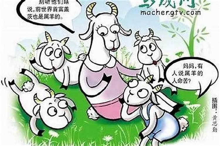 1991年12月出生属羊命运2024 91年腊月的羊好不好