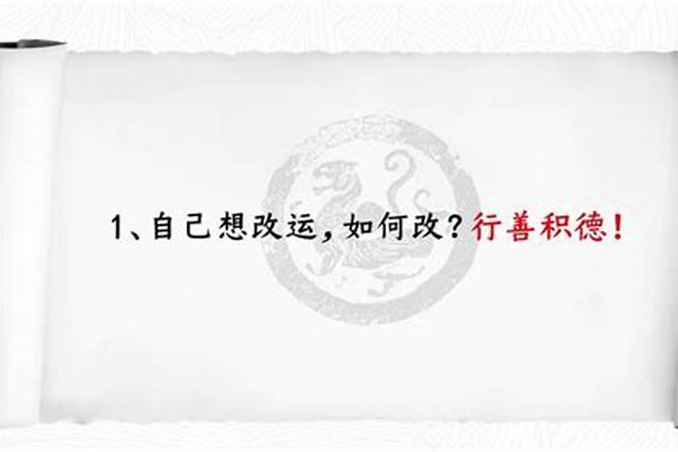 属牛人在2025年的运势怎样