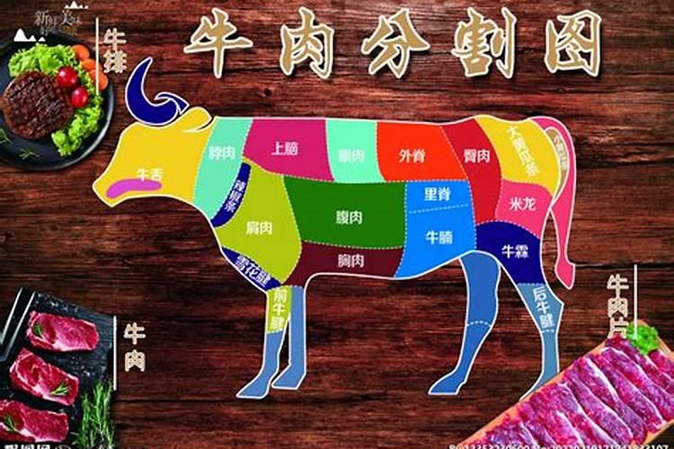 马加爵是怎样杀了同学的,有详细报道吗