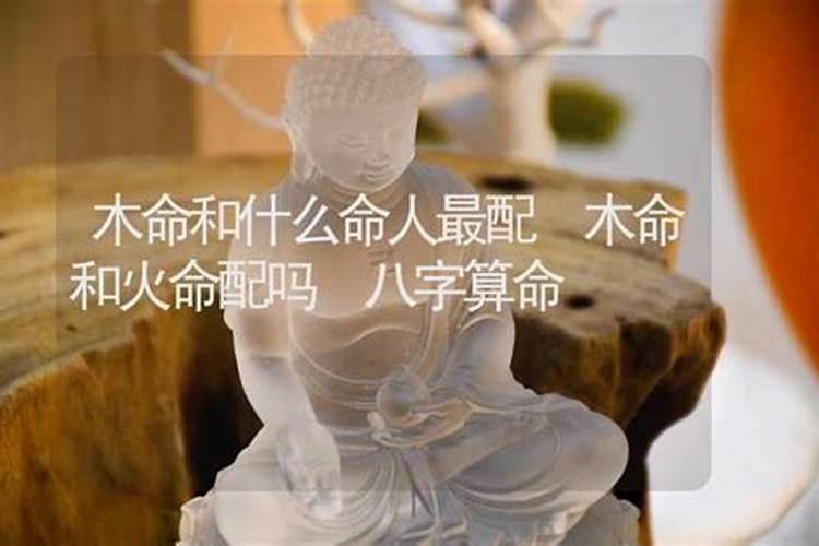 男木命配女火命的婚姻好不好