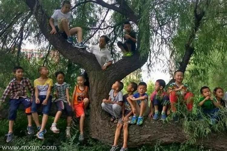梦见别人借用卫生间