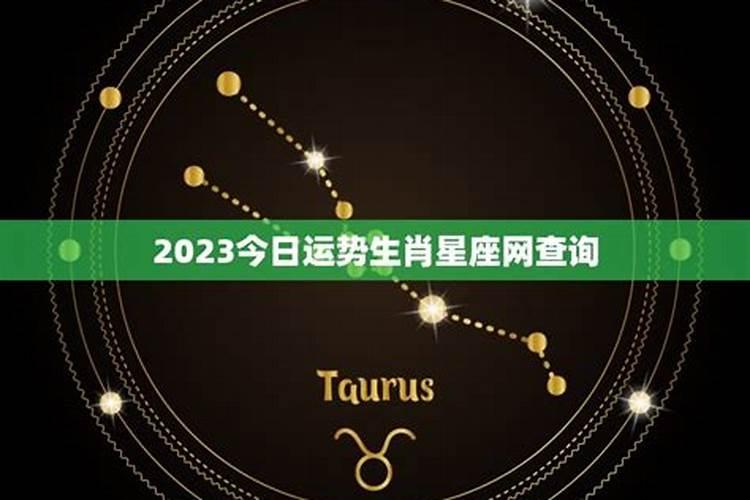 12生肖每天的运势