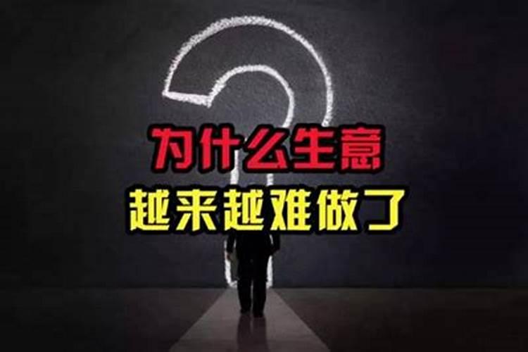 梦见猫生了一窝小猫的预兆