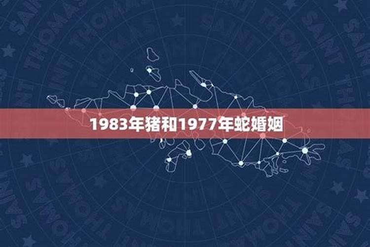 猪年属蛇人的全年运势如何