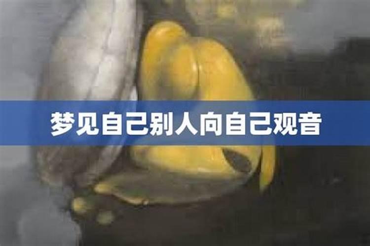 生肖猪2025年运势 属猪2025年运势及运程