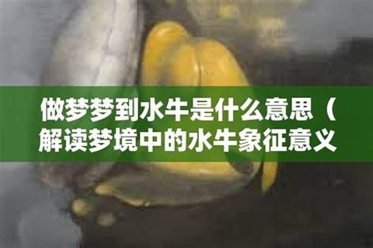 属虎女孩起名宜用字