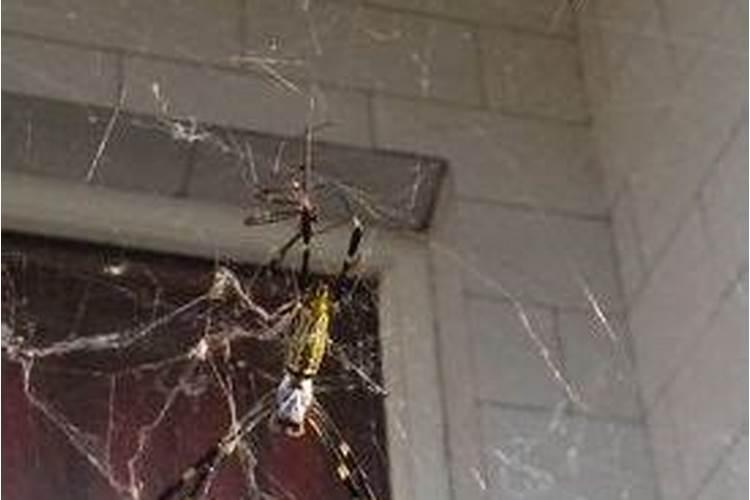 梦见死去的爷爷又复活了的预兆