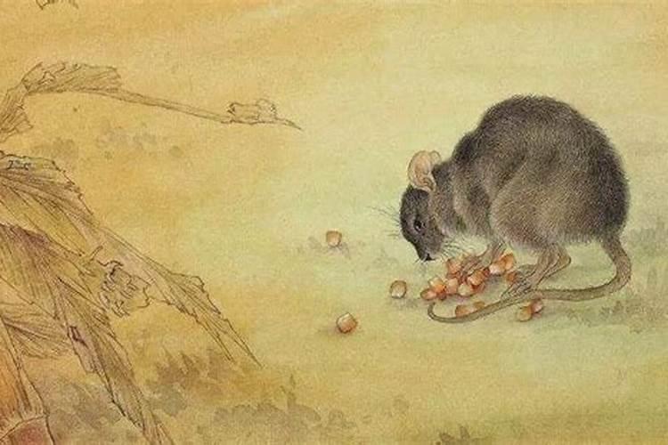 梦见妹妹从楼上窗户掉下去的预兆