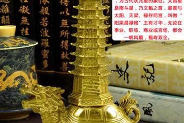 冬至出生的小孩好不好