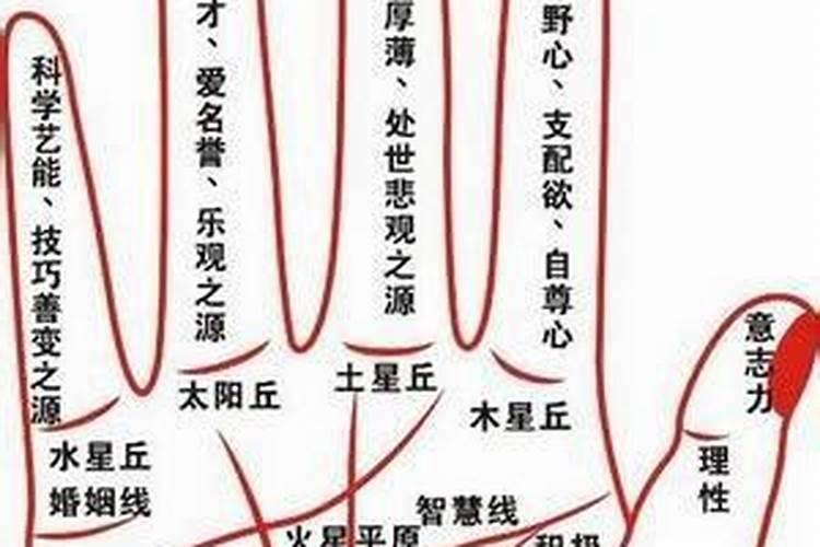 面相手相是什么意思