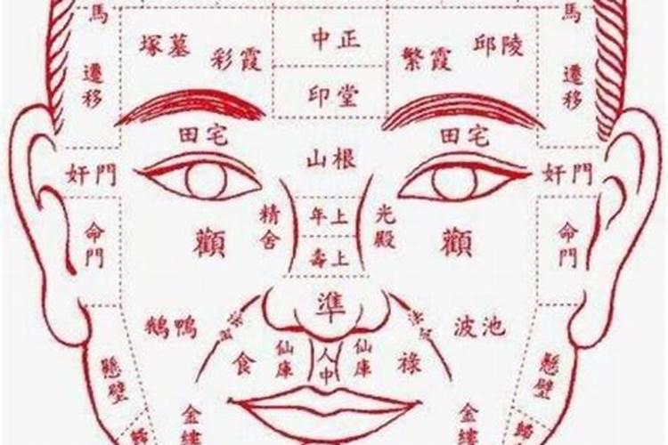 手相中的事业线相学解析
