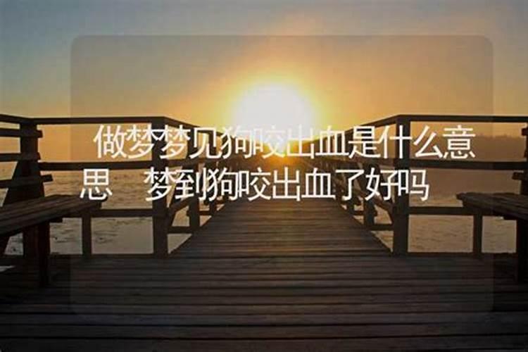梦到狗流血是什么意思？