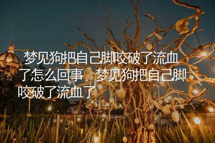 梦见狗流血是什么意思？