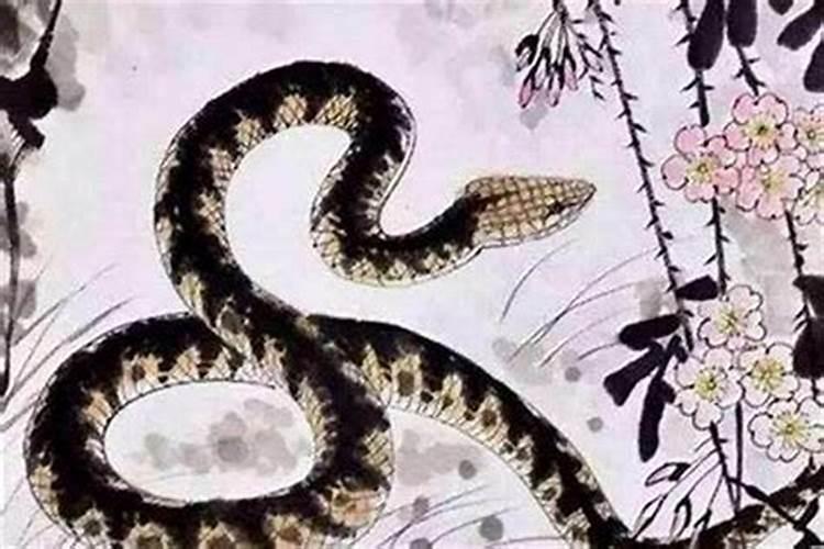 属蛇人生于6月命运如何