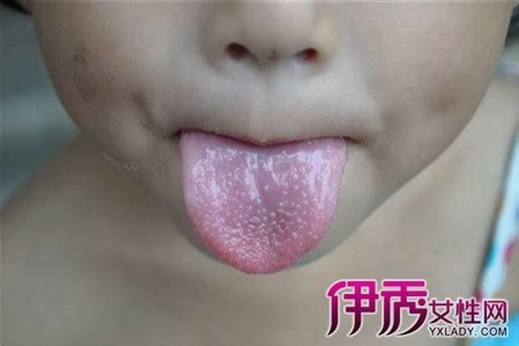 八字年月日时哪个重要