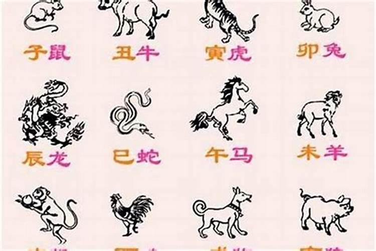 十二生肖里什么动物尾巴是往上的
