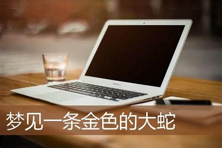 梦见金色的蛇是什么预兆