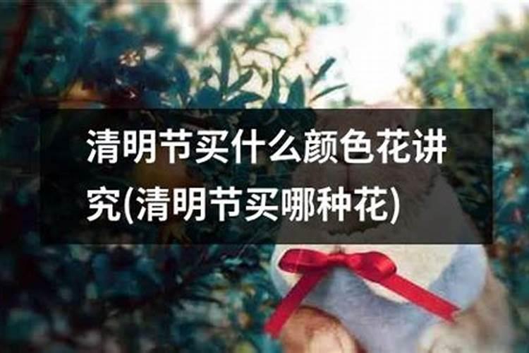 做清明节的白花