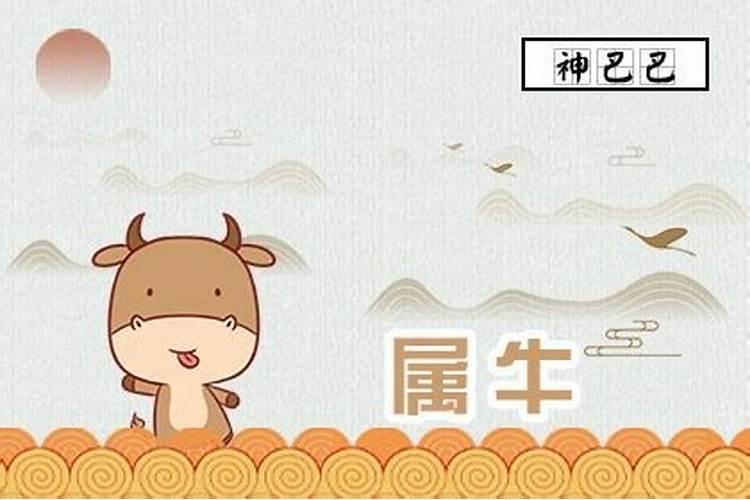 属牛人今日运势如何？今年的偏财运怎样