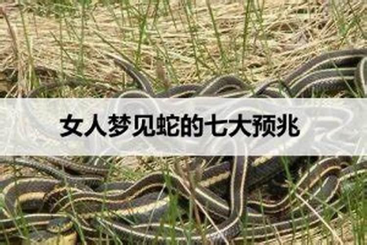 梦见蛇女性的预兆