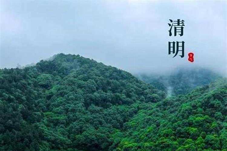 清明节高速免费时间是几点到几点？清明驾车出行要注意些什么？