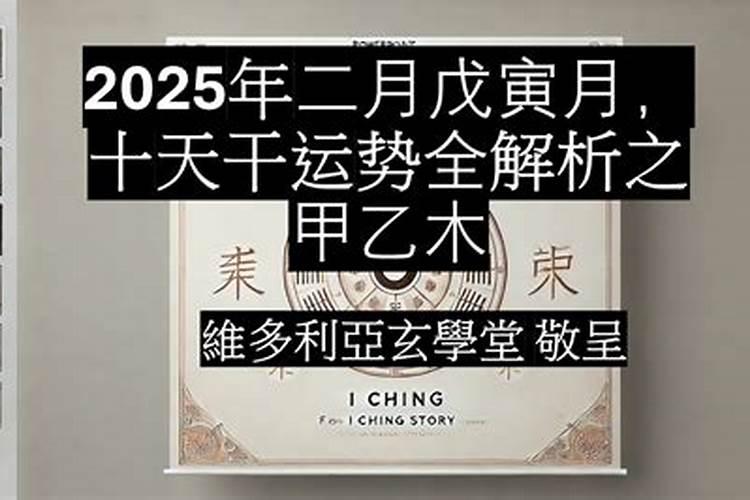 1998年属虎人运势如何