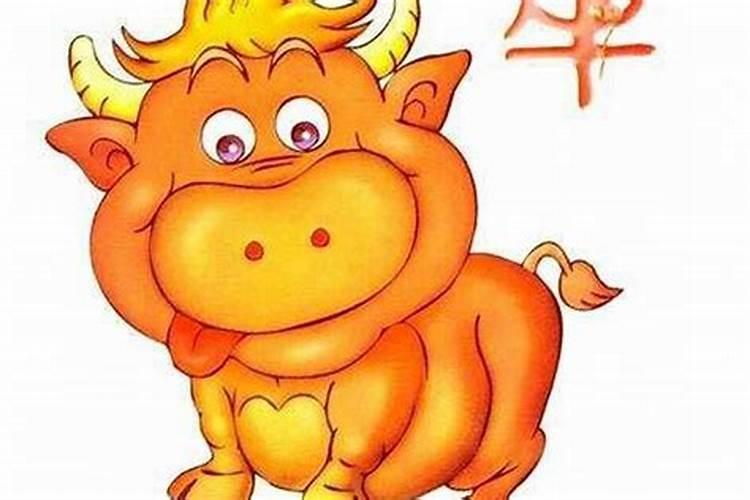 犯太岁最忌讳什么白事少去产房不去