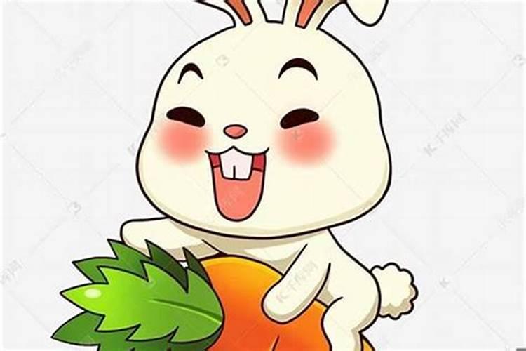 本命年送什么礼物好男士兔年 本命年送哪些礼物好男士兔年