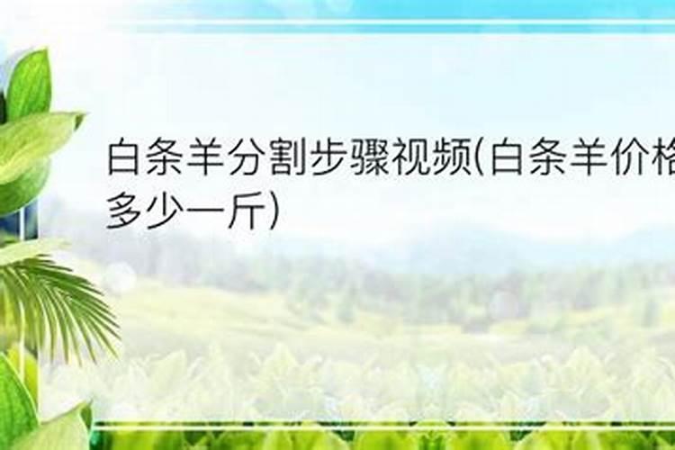羊后面是什么生肖