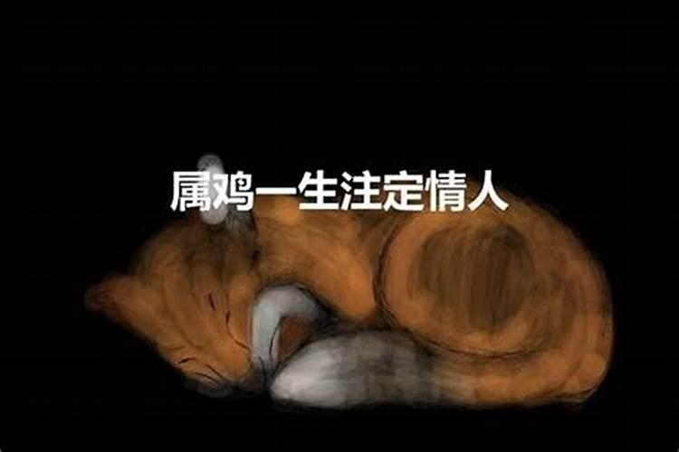 属鸡的命里注定的“红颜情人”是谁？惺惺相惜属龙人？