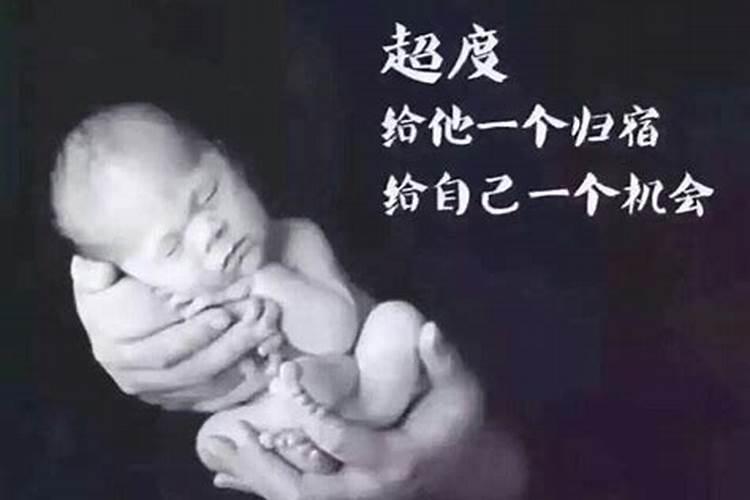 梦见蚊子和虫子