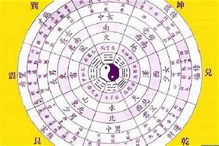 2024年属蛇犯太岁离婚会怎样 2024年运势解析