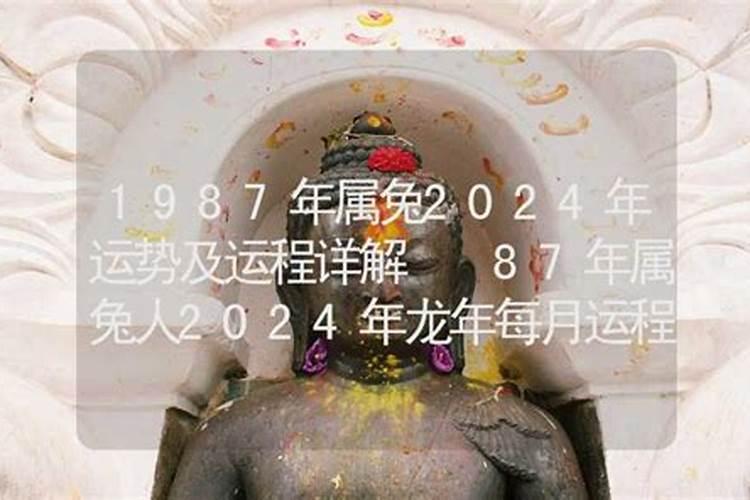 生肖兔1987年2025年运势如何 生肖兔1987年2025年全年运势