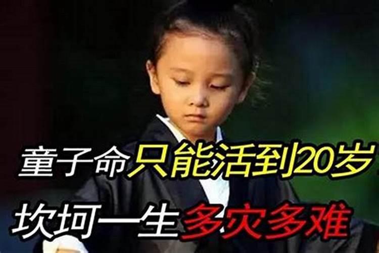 怎么辨别真童子和假童子