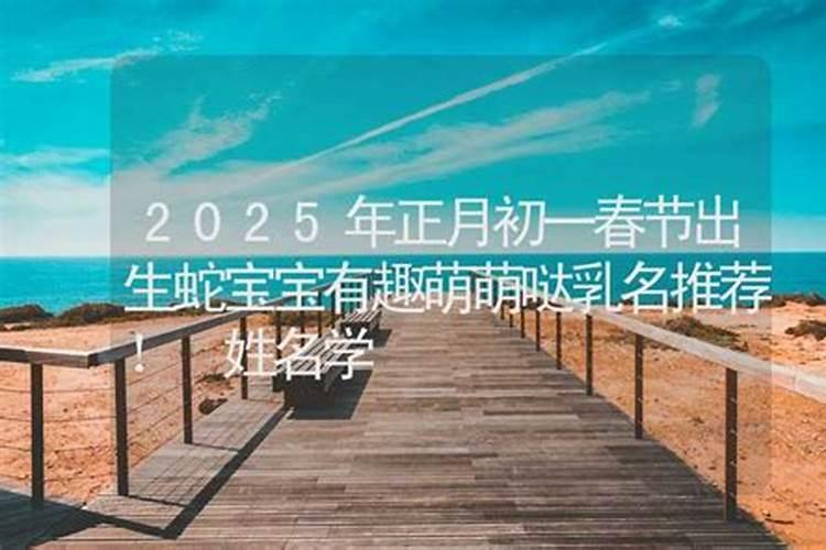 子时出生的属鸡人命运如何(23:001:00)