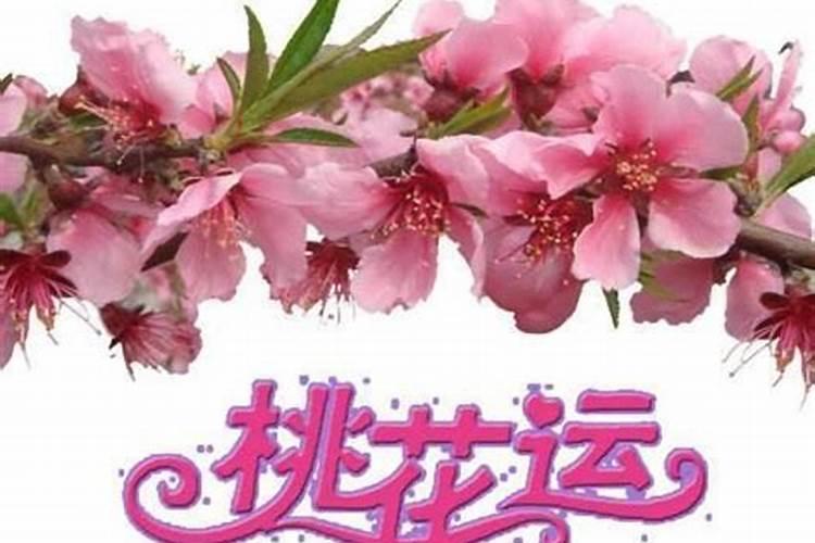 单身催桃花姻缘法术？