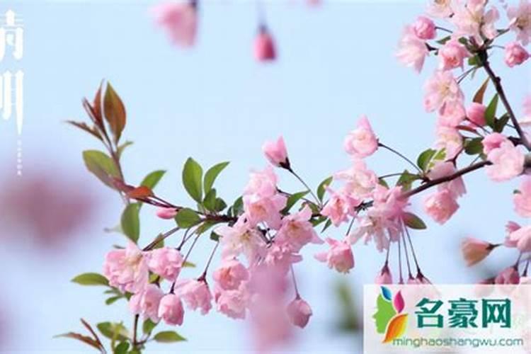 广东清明,是什么天气,下雨还是出太阳还晴天？知道的答复!谢谢