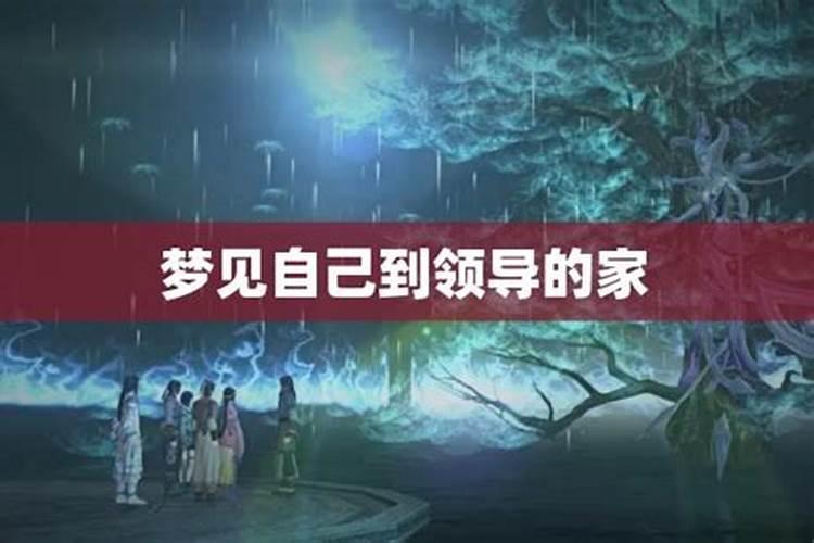 梦见领导同事来我家的预兆