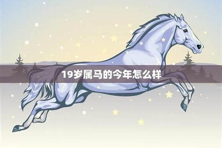 2025属马犯太岁吗 2025属马人全年运势如何