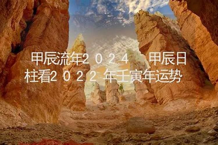 三命通会壬寅日柱出生男女命运详解