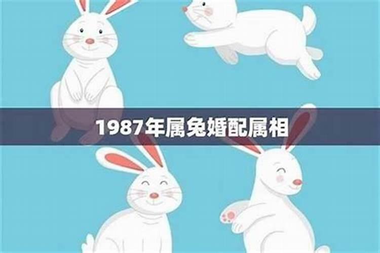 属兔男和属蛇女的婚姻相配吗？