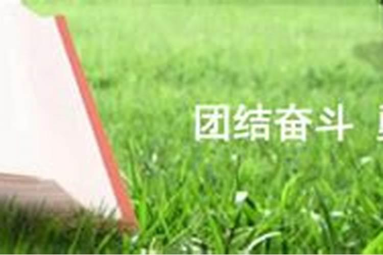 张纪中现任老婆是灌云人吗