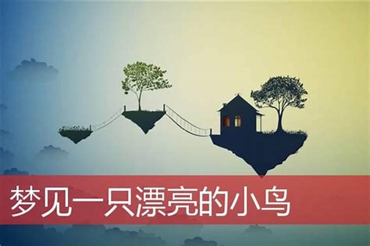 还阴阳债怎么还
