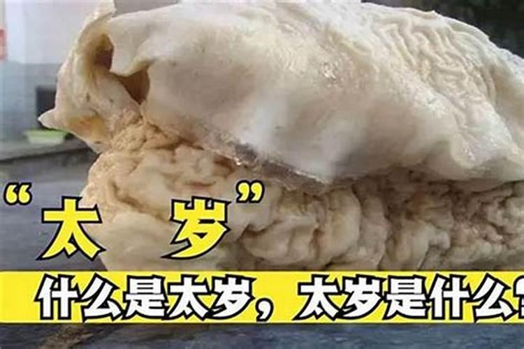 太岁多少钱 太岁是什么