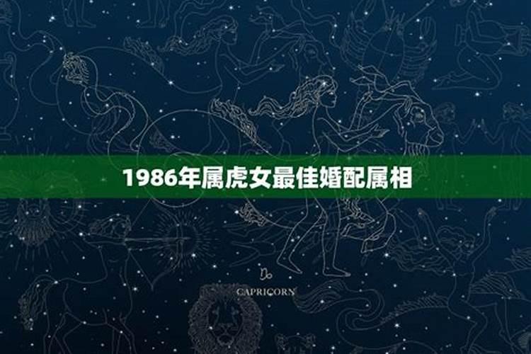 1986年属虎男最佳婚配86年属虎人感情运势