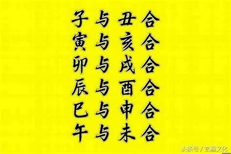 什么时辰就干什么事,养生要按时辰来!