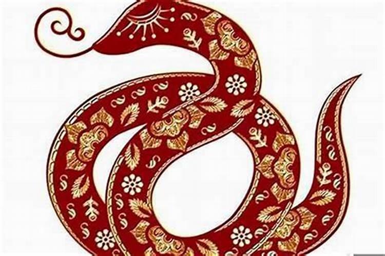 65年出生的蛇人一生的命运 一生为什么这么多灾难？